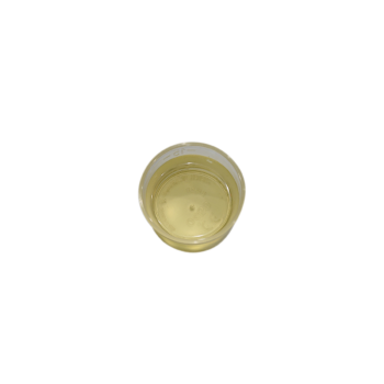Omega 3 visolie