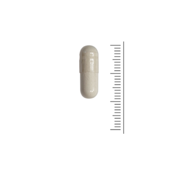 Resveratrol