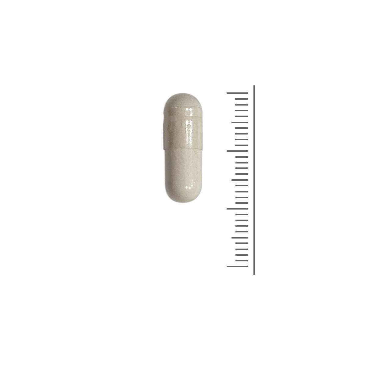 Resveratrol Resveratrol