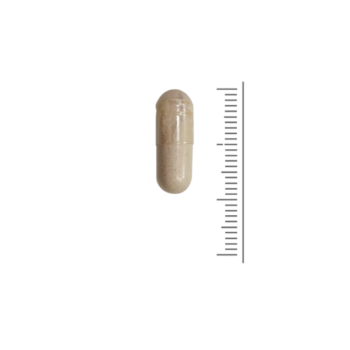 Supplement vitamine B12